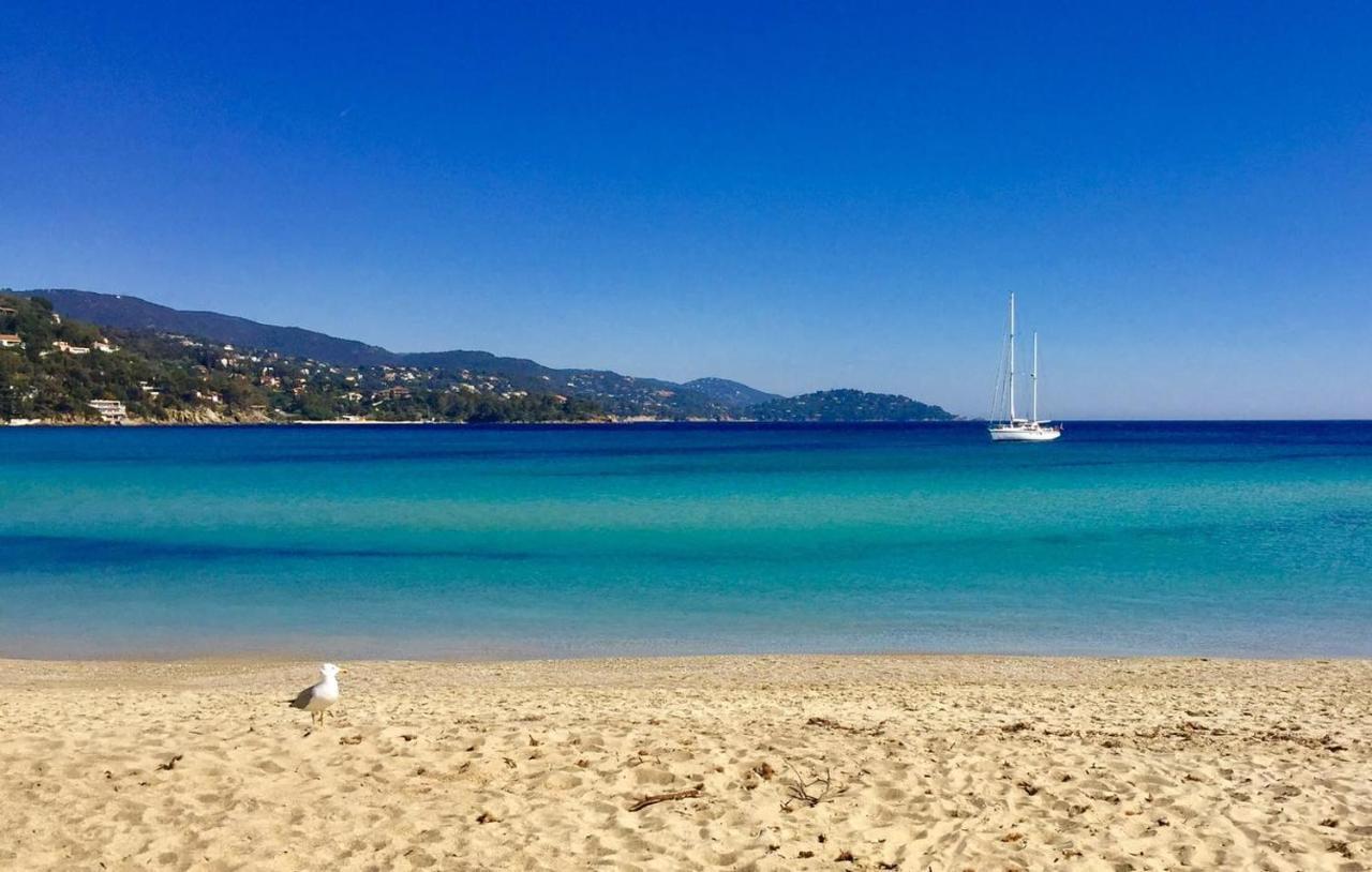 Residence Le St James Le Lavandou Zewnętrze zdjęcie